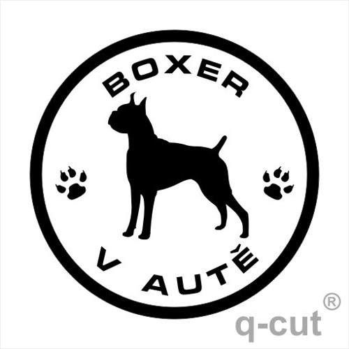 Boxer v autě