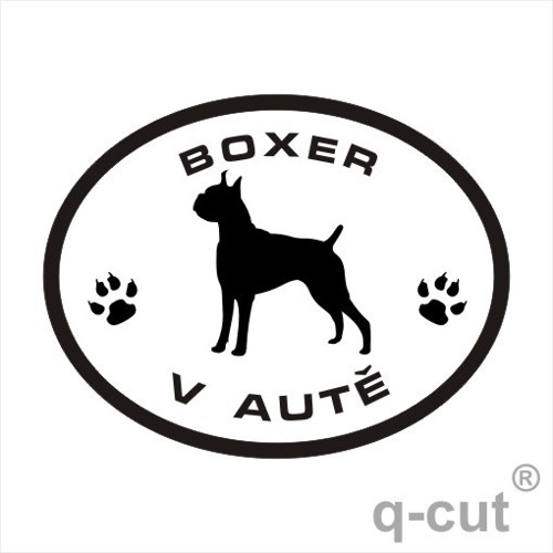 Boxer v autě — foto 1