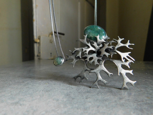Evernia prunastri — foto 1