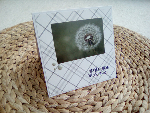 Kondolence IV — foto 1
