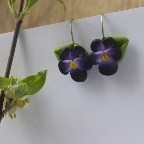 Violka vonná (chirur. ocel) — foto 1
