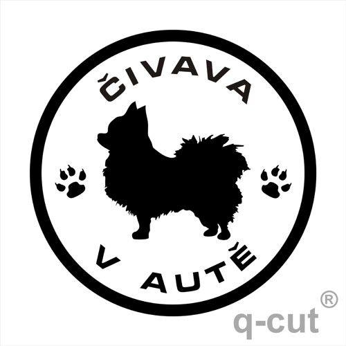 Čivava v autě