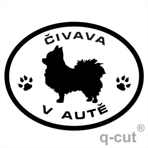 Čivava v autě