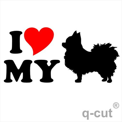 I LOVE MY čivava