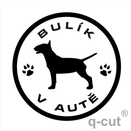 Bulík v autě