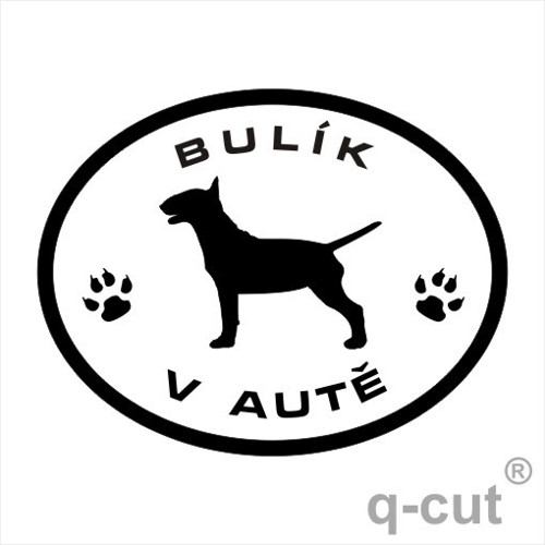 Bulík v autě — foto 1