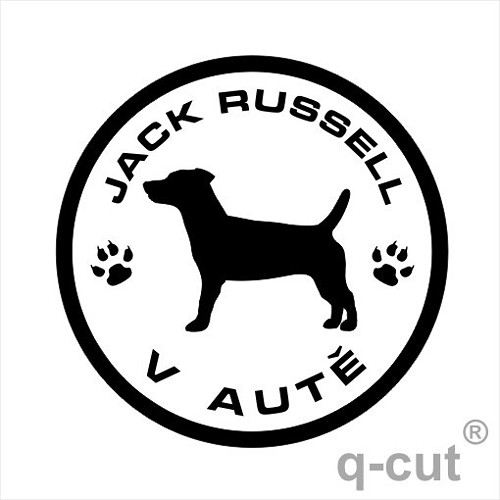 Ruslík v autě — foto 1