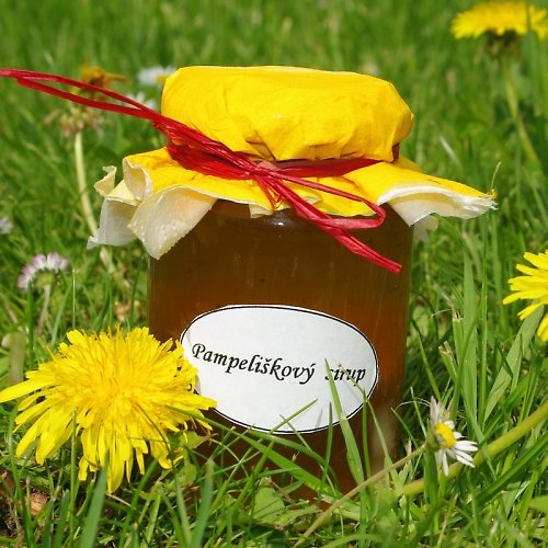 Pampeliškový sirup — foto 1