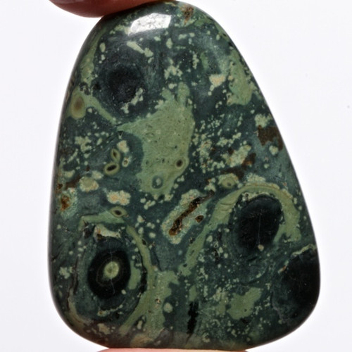 Jaspis kambaba, 45 mm — foto 1
