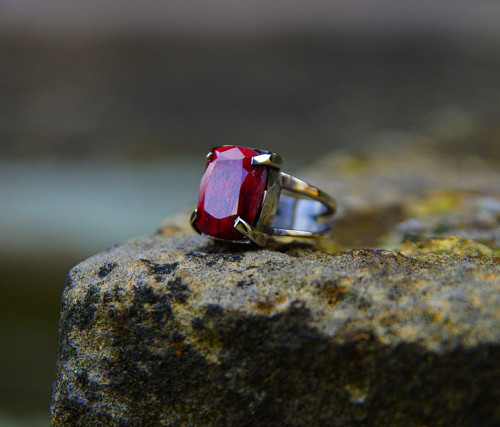 Nerezový prsten...." Ladybird " — foto 1