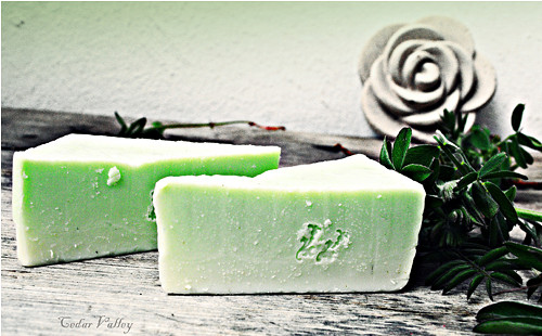 °°PURITY°° Tuhý šampon Nimbový — foto 1