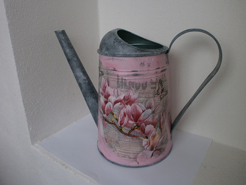 Miluji magnolie.. — foto 1