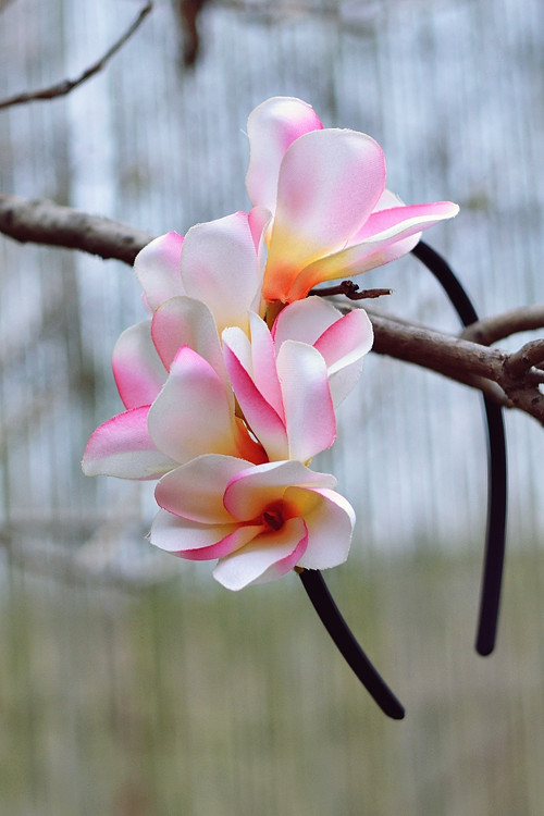 Čelenka "Magnolie" — foto 1