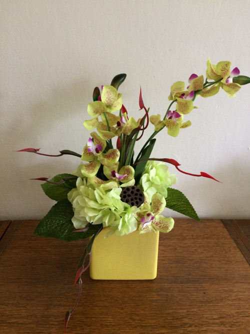 Orchideje v kostce — foto 1