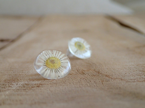 Daisy — foto 1