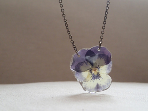 Viola — foto 1