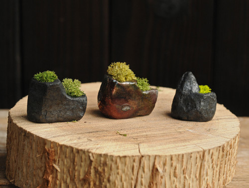 Miniatúrna RAKU záhrada — foto 1