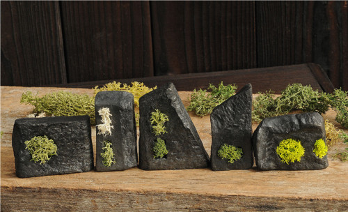 Miniatúrna RAKU záhrada — foto 1