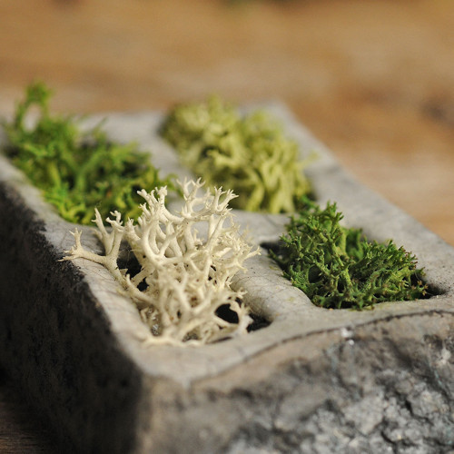 Miniatúrna RAKU záhrada — foto 1