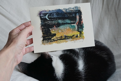 Noční lov — foto 1