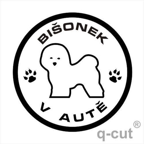 Bišonek v autě — foto 1