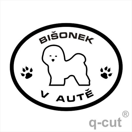 Bišonek v autě