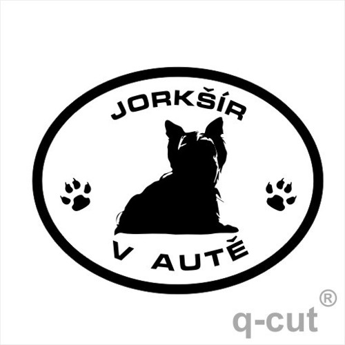 Jorkšír v autě