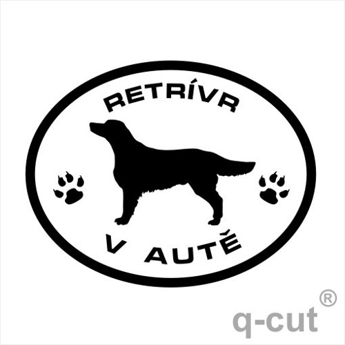 Flat Coated Retrívr v autě