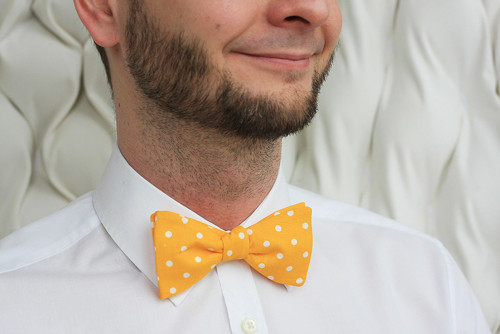 Elegantní vázací motýlek - žlutý s putníky I.