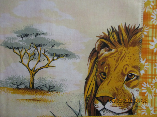 Safari