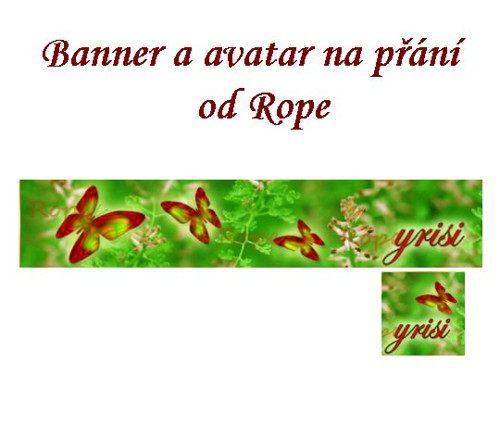 Banner a avatar na přání — foto 1