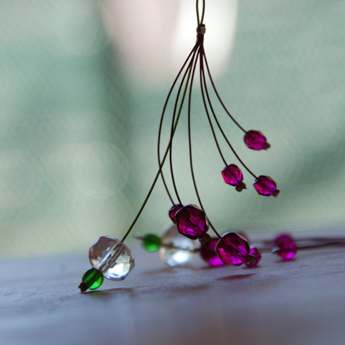 Fialenky fuchsijky — foto 1