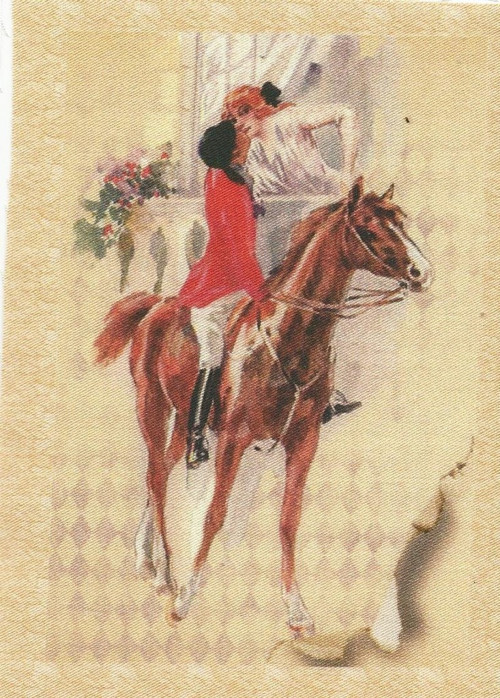 Bavlněná látka - panel 8 x 13 cm — foto 1