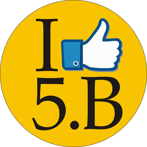 I like 5. B — foto 1