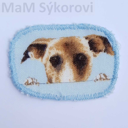 Nažehlovací záplaty zvědavý psík