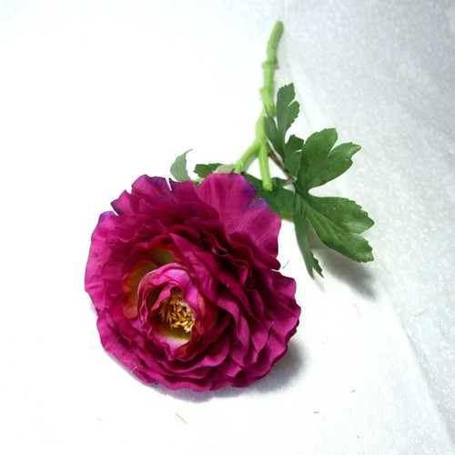Pryskyřník purpurový — foto 1