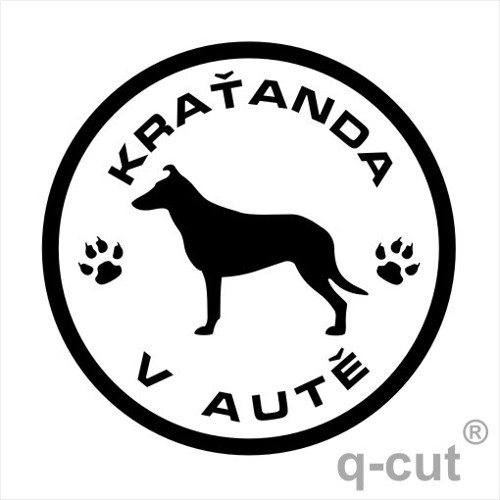 Kraťanda v autě — foto 1