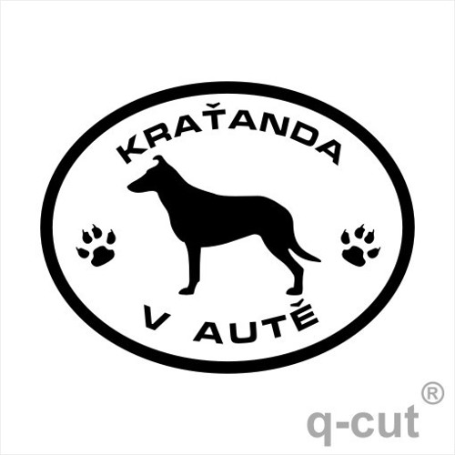 Kraťanda v autě