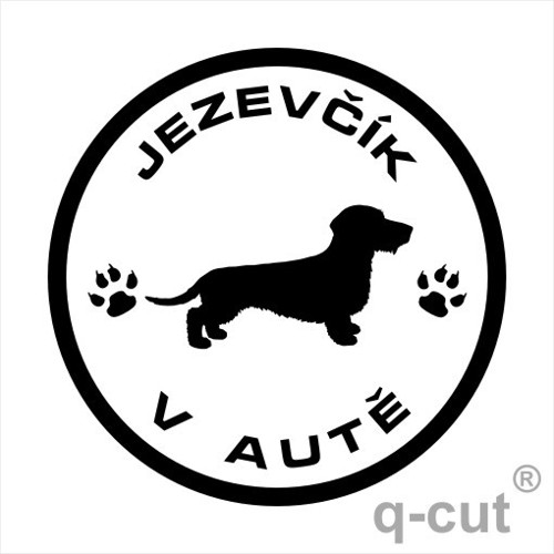 Jezevčík v autě