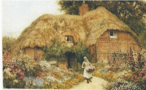 Bavlněná látka - panel 8 x 12,5 cm