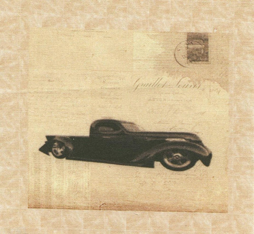 Bavlněná látka - panel 9,5 x 11 cm