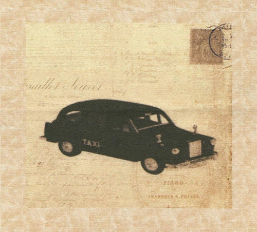 Bavlněná látka - panel 9,5 x 11 cm