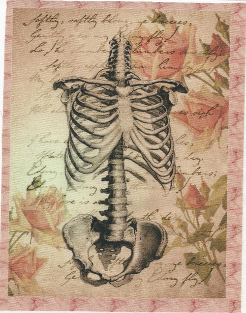 Bavlněná látka - panel 10,5 x 16 cm