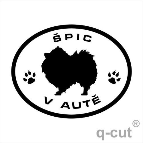 Špic v autě