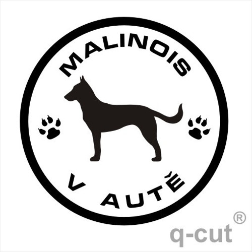 Malinois v autě — foto 1