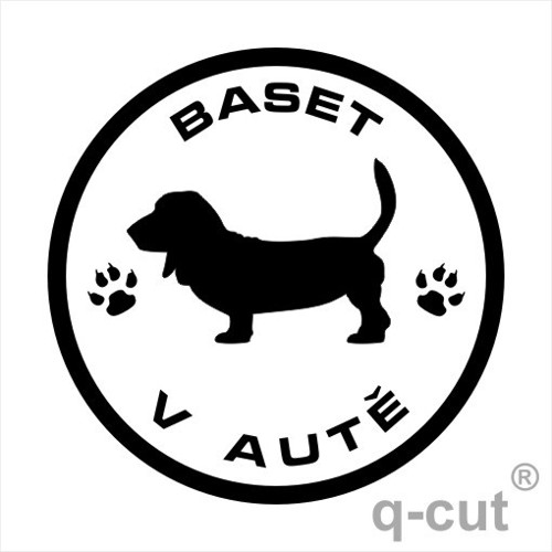 Baset v autě