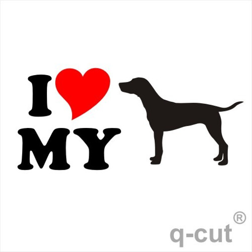 I LOVE MY Dalmatin — foto 1