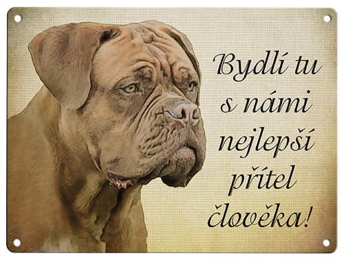 Bordeauxská doga-přítel 2