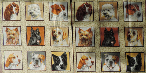 Panel na pexeso Psi — foto 1