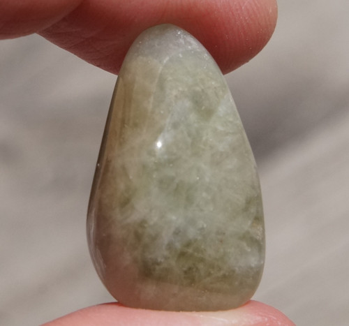 Amegreen D9459 — foto 1